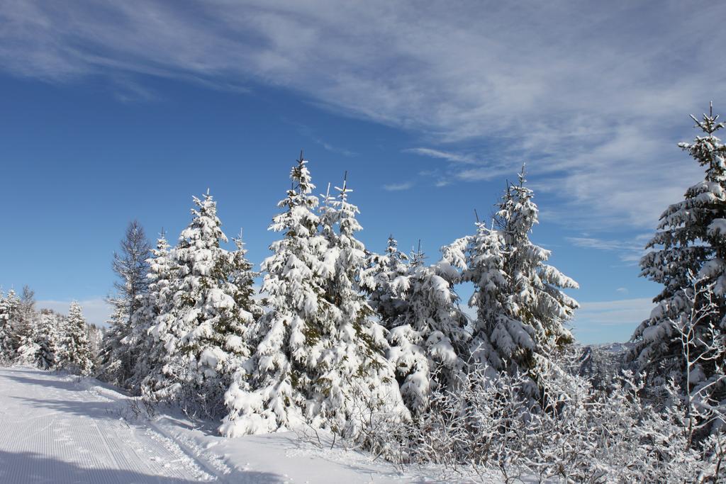 Rifugio Verenetta Casere Verena 外观 照片