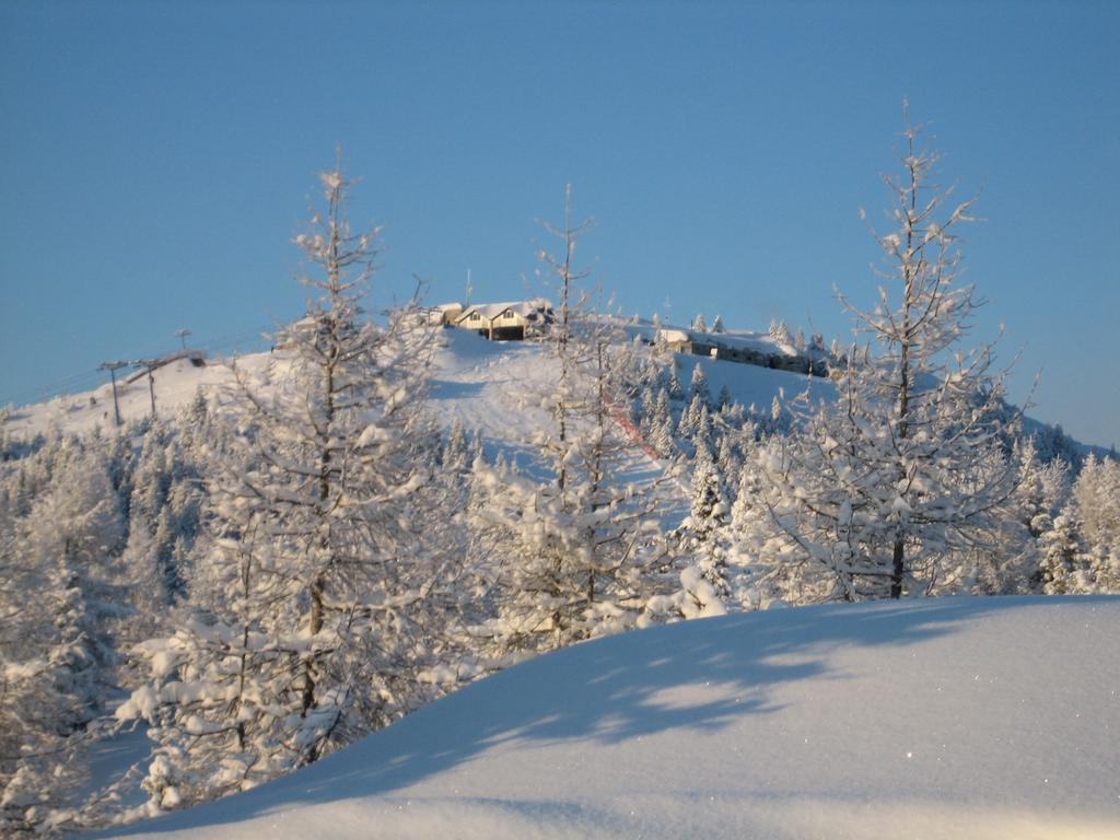 Rifugio Verenetta Casere Verena 外观 照片